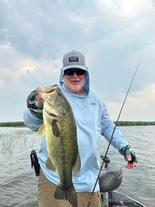 Light tackle finesse meets Largemouth Bass